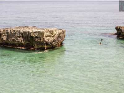 ...magari riposandosi durante il tragitto su uno scoglio emerso in mezzo al mare